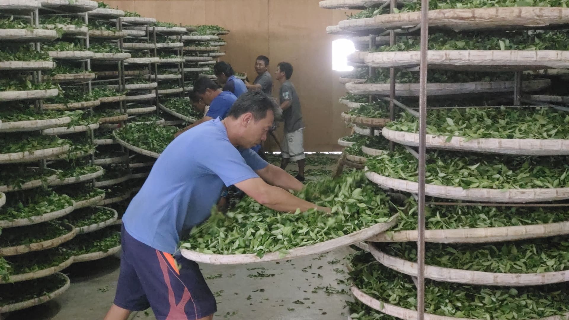 珍珠奶茶原料 | 飲料店茶葉批發 | 飲料茶葉供應商 | 茶包代工